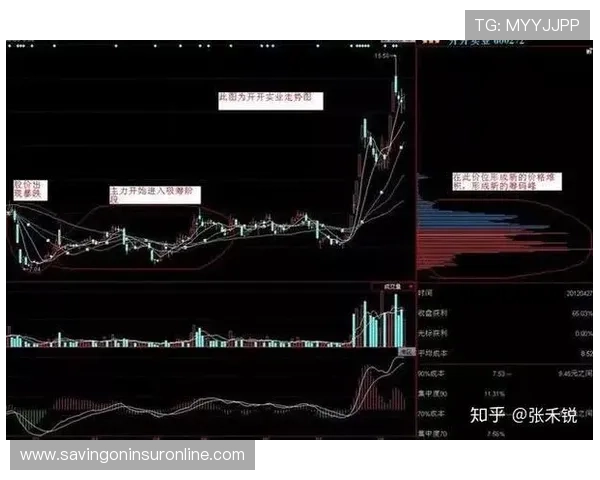 学习老虎机连线规则助你成为游戏中的赢家高手