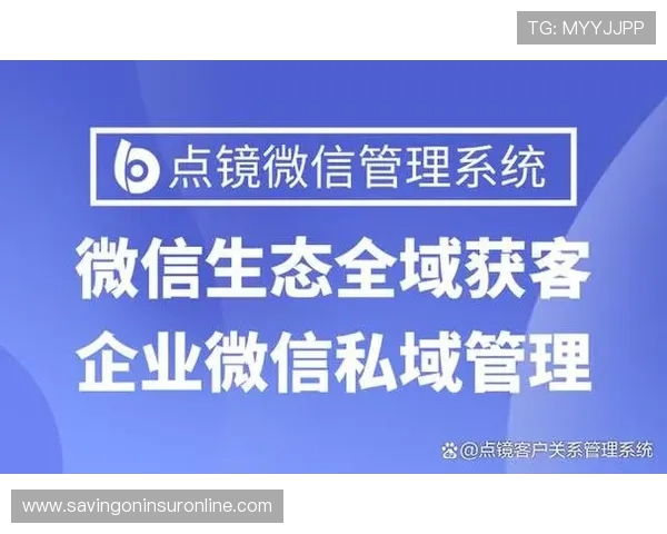 如何选择优质的pj电子产品，提升游戏性能与保障使用安全的实用建议